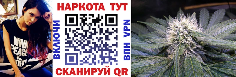 Магазины продажи наркотиков Сертолово Каннабис  COCAIN  ГАШИШ  Мефедрон 