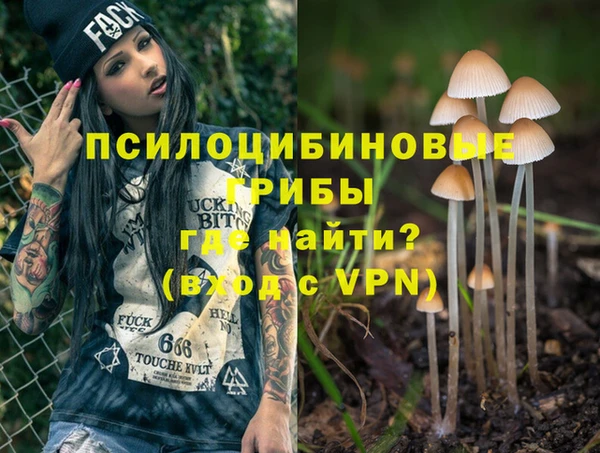 стаф Баксан