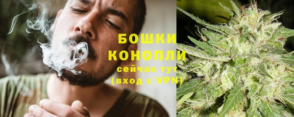 гидропоника Балахна