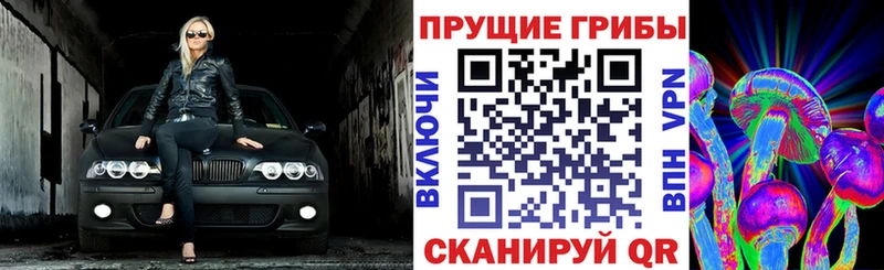 Галлюциногенные грибы GOLDEN TEACHER  Сертолово 